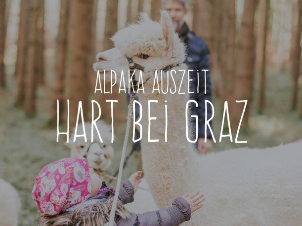 Alpaka-Auszeit bei Graz